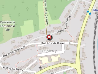 Carte de Cabinet Consultant Belveyre à Marbache