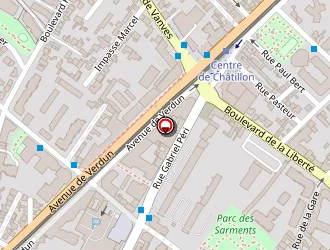 Carte de Farion Vincent à Châtillon