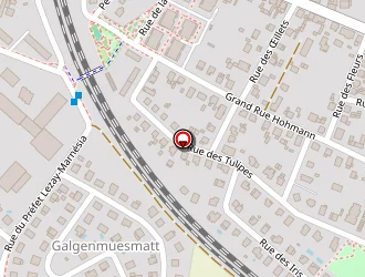 Carte de Savy Patrick à Haguenau