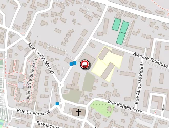 Carte de Ternisien Stéphane à Bois-d'arcy