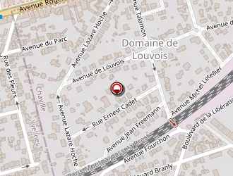 Carte de Berlese Ronan à Chaville