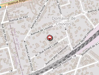 Carte de Sarfati Gérard à Chaville