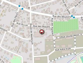 Carte de Kuntzner Gilbert à Haguenau