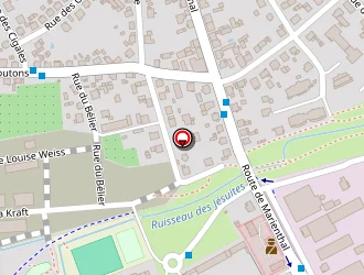 Carte de Expl Grasser (soc) à Haguenau