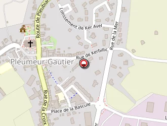 Carte de Top Garage Arzul Yann  Adhérent à Pleumeur-gautier