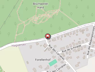 Carte de Voltampere à Haguenau