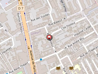 Carte de Monteiro Arlindo à Villejuif