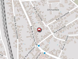 Carte de Netz Informatique (s.a.s.u.) à Haguenau