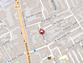 Carte de Piselli Romain à Villejuif