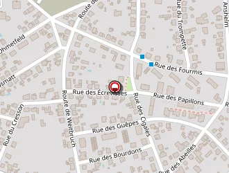 Carte de Helmlinger Samuel à Haguenau