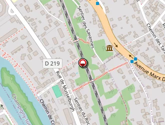 Carte de Dias Samuel à Champigny-sur-marne