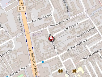 Carte de Guepard Or à Villejuif