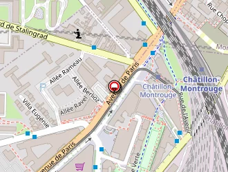 Carte de Riou Bernard à Châtillon