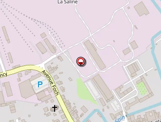 Carte de Martin Guy à Dieuze