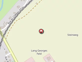 Carte de Clt à Berthelming