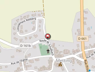 Carte de Ringard Christophe à Metting