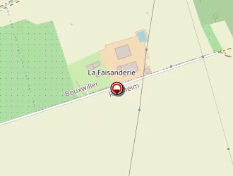 Carte de De Pelichy Jehan à Bouxwiller