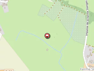 Carte de Services Minutes à Haguenau