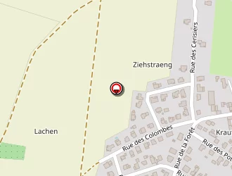 Carte de Dechevre Eric à Rountzenheim