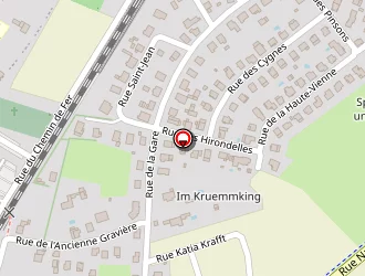 Carte de Silliker à Auenheim