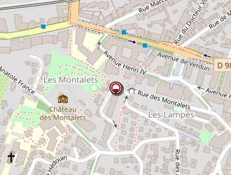 Carte de Behnke Mickael à Meudon