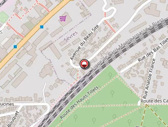 Carte de Sayegh Karim à Chaville