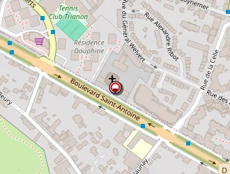 Carte de Welsing Didier à Chesnay (le)