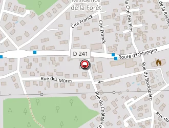 Carte de T.b.s. à Schweighouse-sur-moder