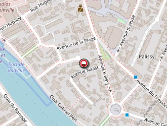 Carte de Maille Micky à Joinville-le-pont