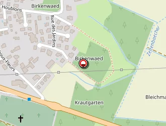 Carte de Bonelli Dany à Schweighouse-sur-moder