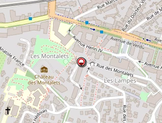 Carte de Ahnich Saïd à Meudon