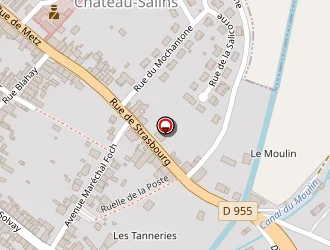 Carte de Ceram 57 à Château-salins