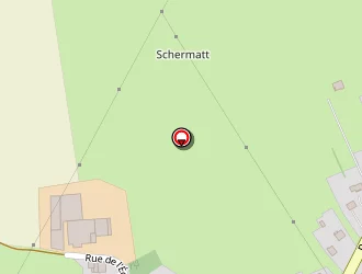 Carte de Pizzéria Le Napoli à Berthelming