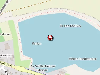 Carte de Garage Schott à Auenheim