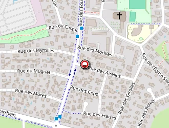 Carte de Noisette Patrick à Haguenau