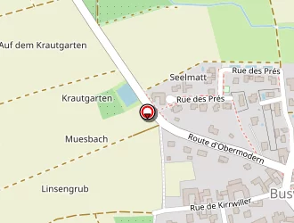 Carte de Schaffhauser Estelle à Buswiller