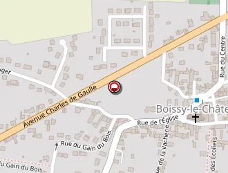 Carte de Bouvet Celia à Boissy-le-châtel