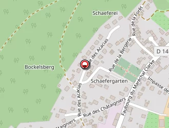 Carte de Tmk Finances à Bouxwiller