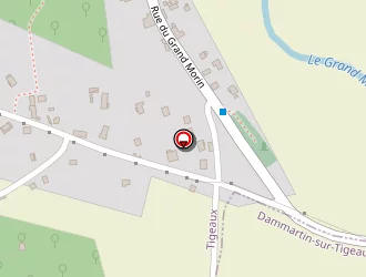 Carte de Chat Repar à Tigeaux