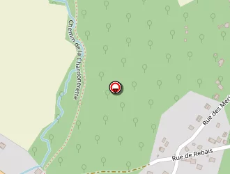 Carte de Lesurtel Patrick à Mouroux