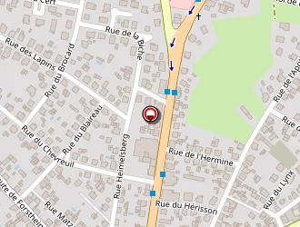 Carte de Cornu Fabrice à Haguenau