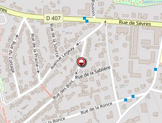 Carte de Thomann Consulting à Ville-d'avray