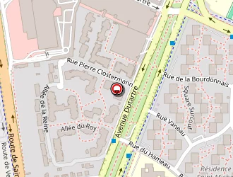 Carte de Bouchareinc Cédric à Chesnay (le)