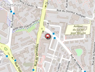 Carte de Magne Caroline à Chesnay (le)