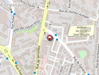 Carte de Azais Etienne à Chesnay (le)