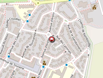 Carte de 4v Services à Villepreux