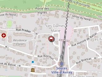 Carte de Rpi à Sèvres