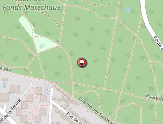 Carte de Feuillie Hélène à Chesnay (le)