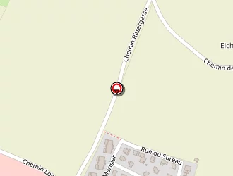 Carte de Livr'express Eckert à Haguenau