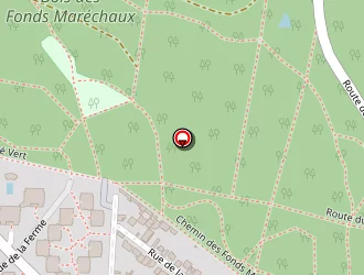 Carte de Garnier Stéphane à Chesnay (le)